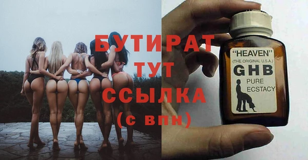 прущие грибы Верхний Тагил