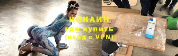 прущие грибы Верхний Тагил
