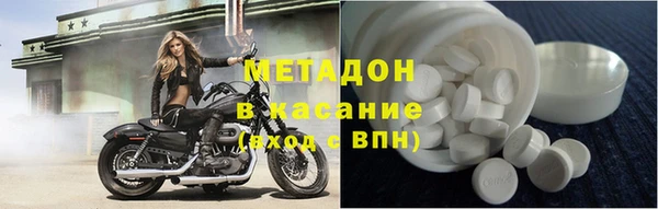 индика Бородино