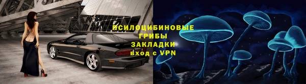 прущие грибы Верхний Тагил