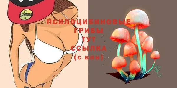 2c-b Верея