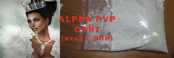 прущие грибы Верхний Тагил