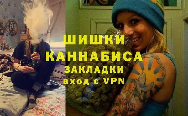 прущие грибы Верхний Тагил