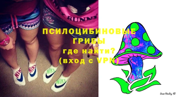 индика Бородино
