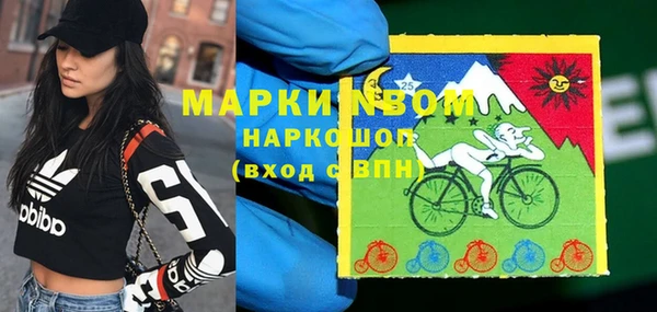 прущие грибы Верхний Тагил