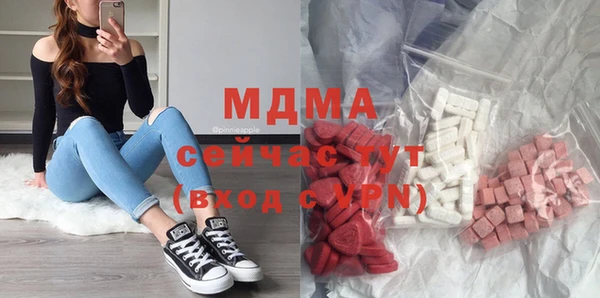 индика Бородино
