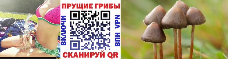 Галлюциногенные грибы ЛСД  Карталы 